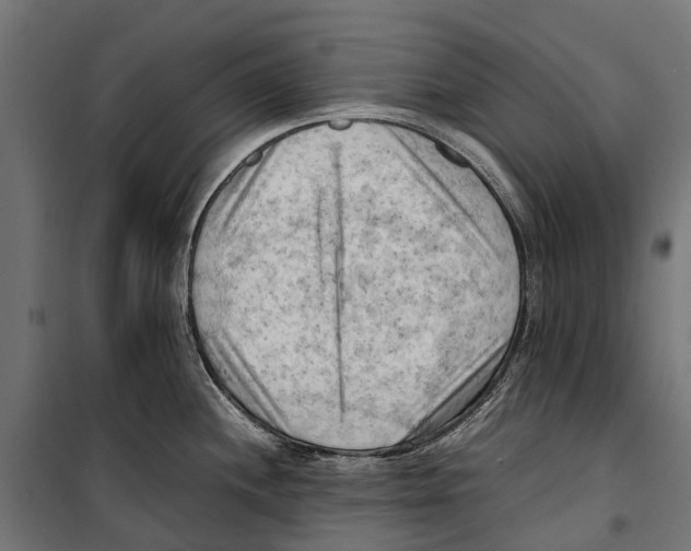 X0000099981244200806201418