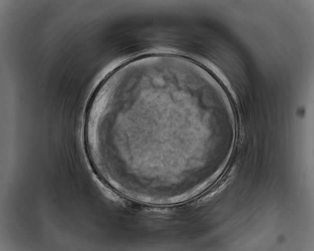 X0000099981245200806201418