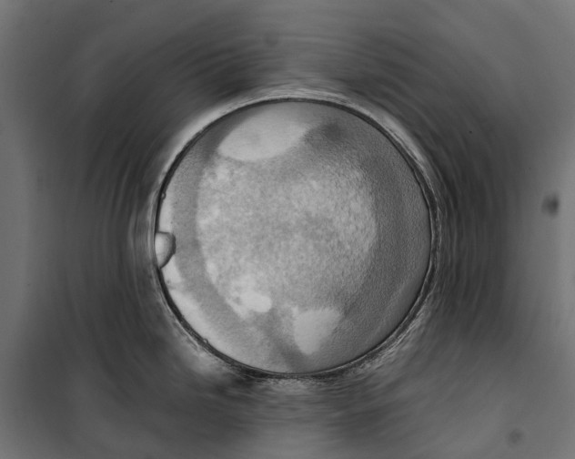 X0000099981246200806201418