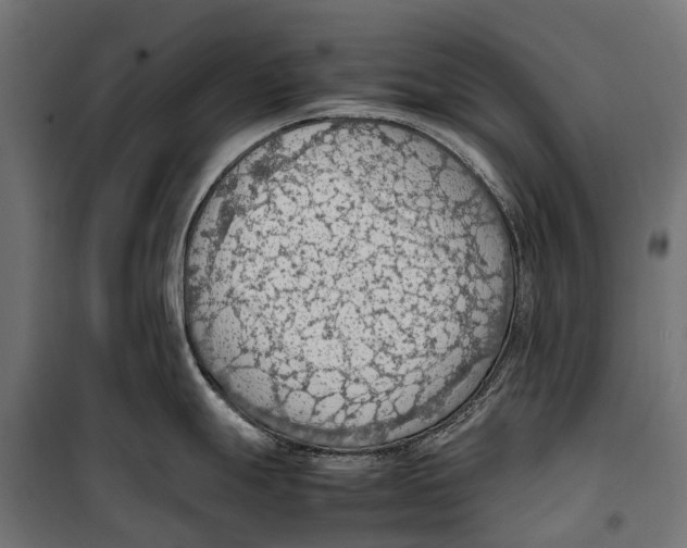 X0000099981247200806201418