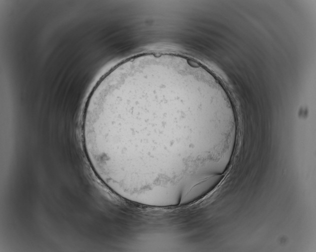 X0000099981248200806201418