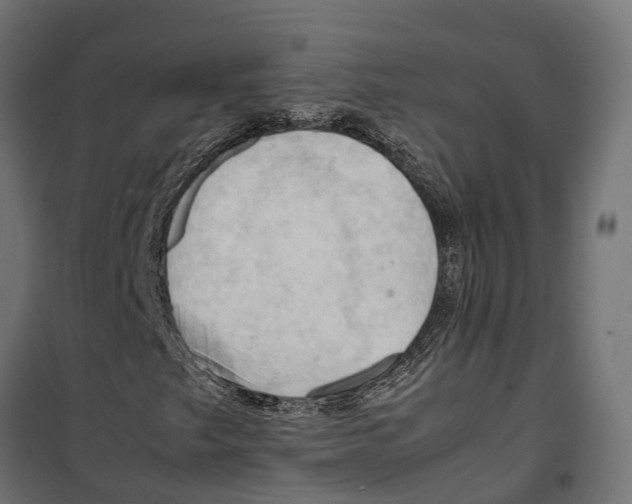 X0000099981249200806201417