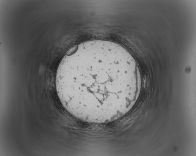 X0000099981251200806201417