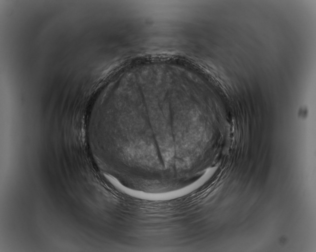 X0000099981252200806201417