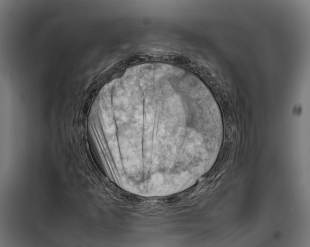 X0000099981253200806201417