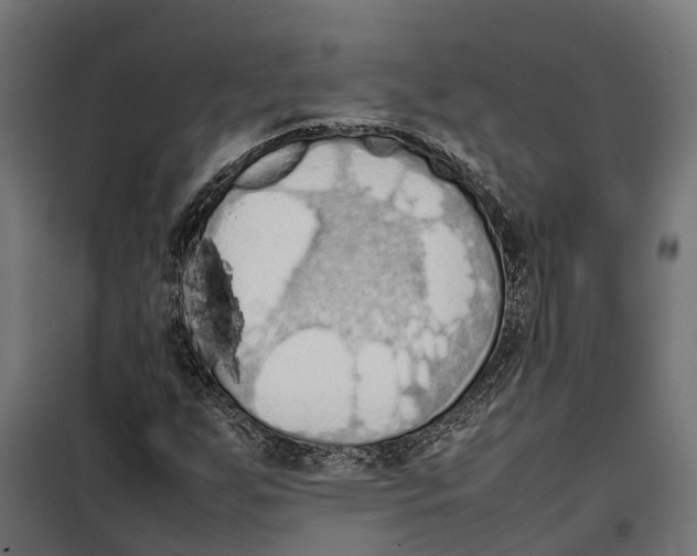 X0000099981255200806201417