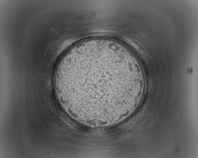 X0000099981259200806201417