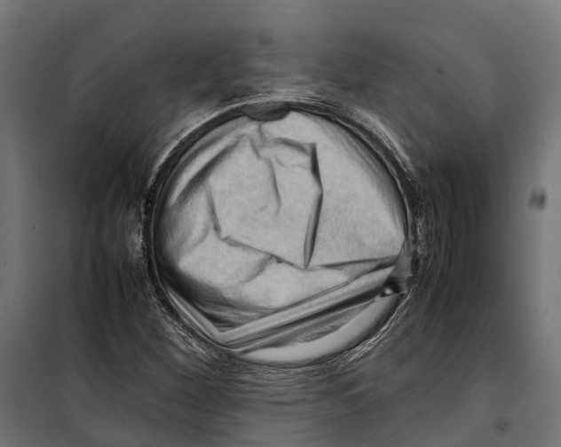 X0000099981260200806201417