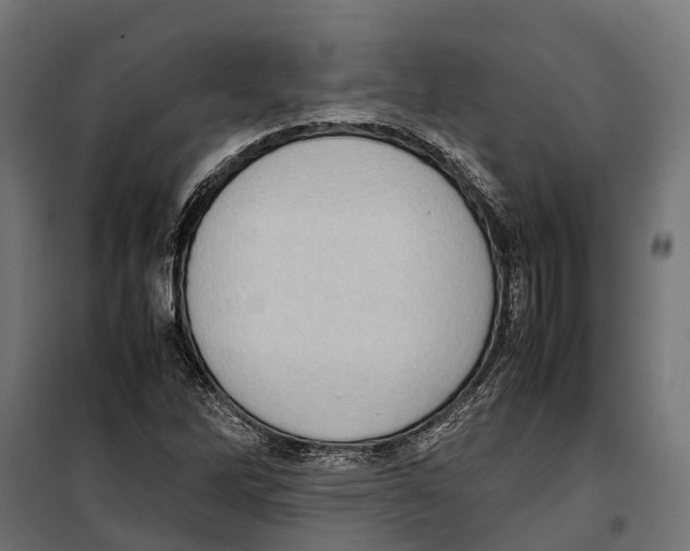 X0000099981262200806201417