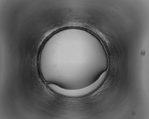 X0000099981264200806201417