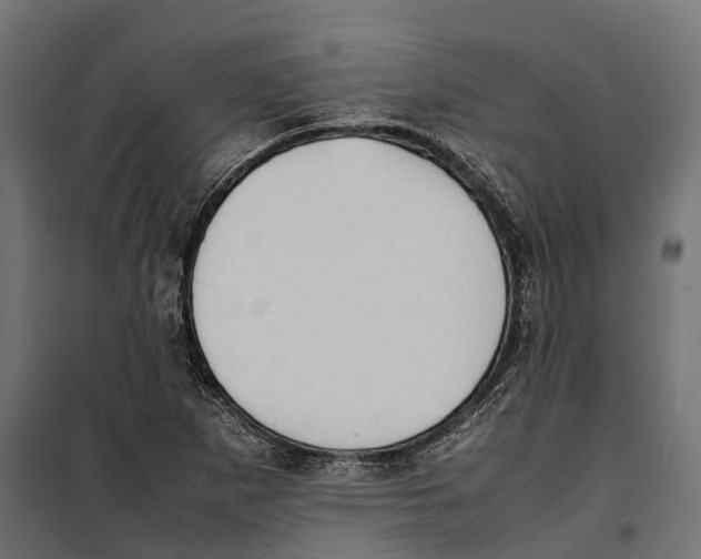 X0000099981265200806201417