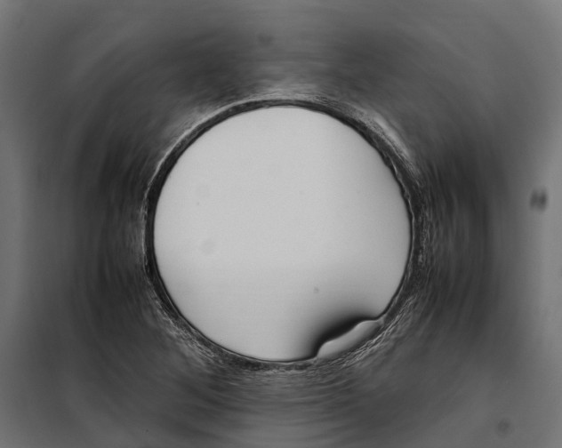 X0000099981268200806201417