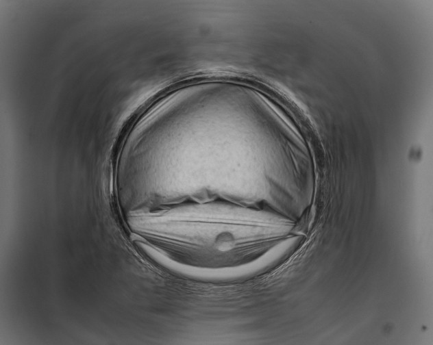 X0000099981269200806201417