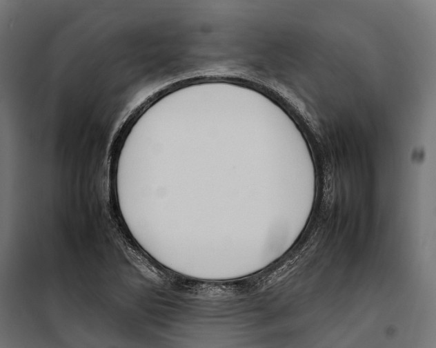 X0000099981270200806201417