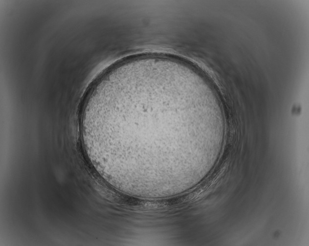 X0000099981271200806201417