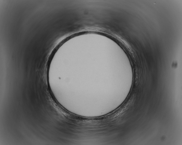 X0000099981272200806201417