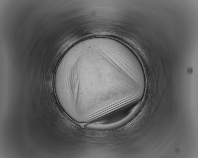 X0000099981273200806201417