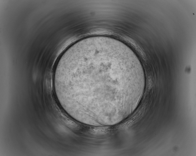 X0000099981274200806201417