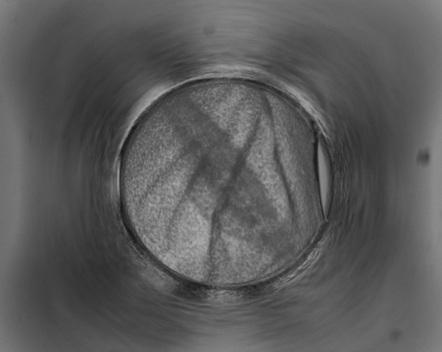 X0000099981275200806201417