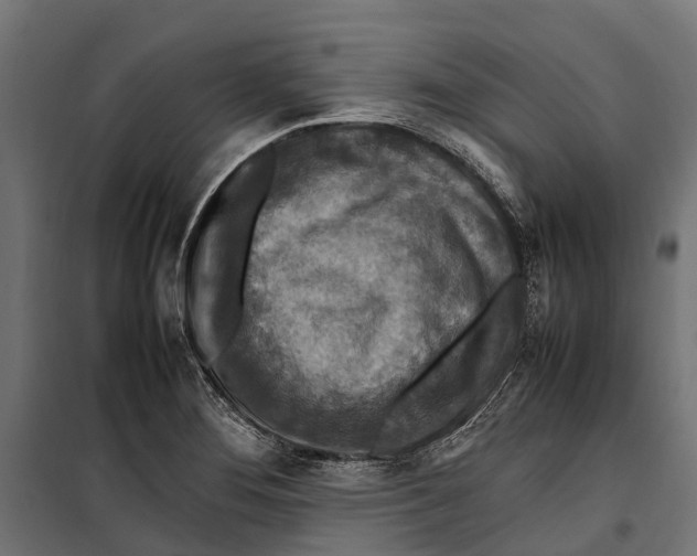 X0000099981276200806201417