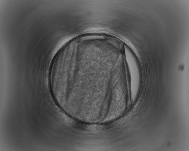 X0000099981277200806201417