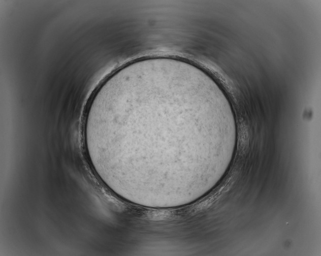 X0000099981278200806201417