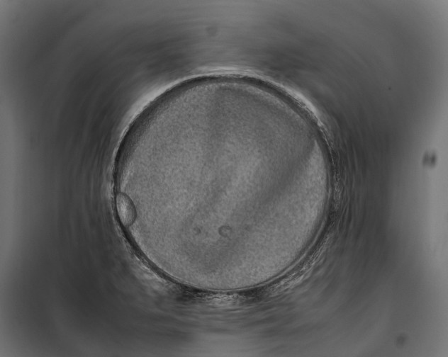 X0000099981279200806201417