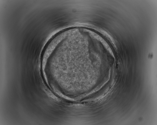 X0000099981280200806201417