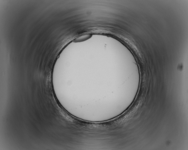 X0000099981281200806201417