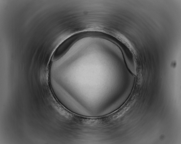 X0000099981284200806201417