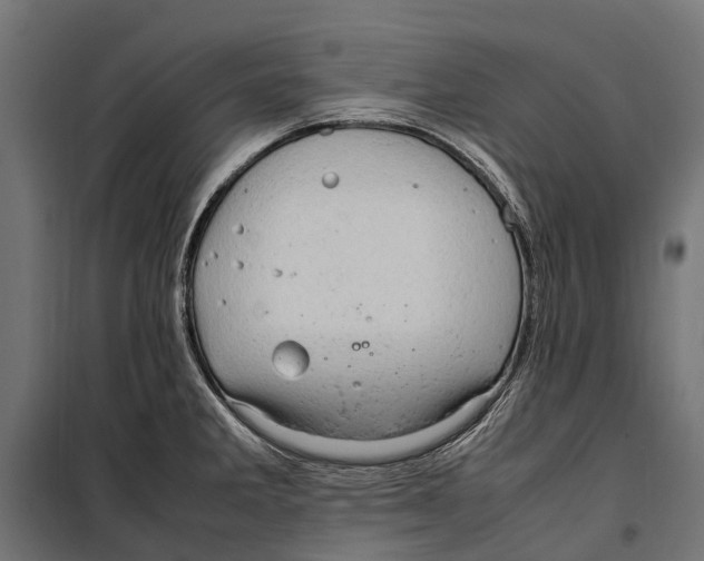 X0000099981285200806201417