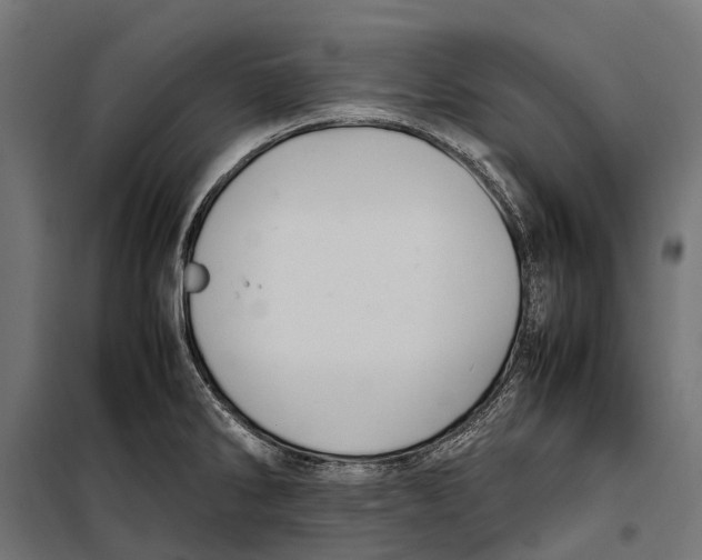 X0000099981286200806201417