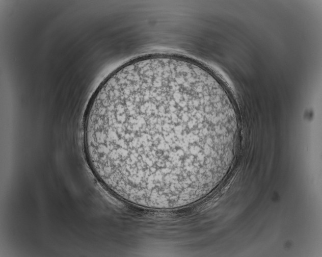 X0000099981287200806201417