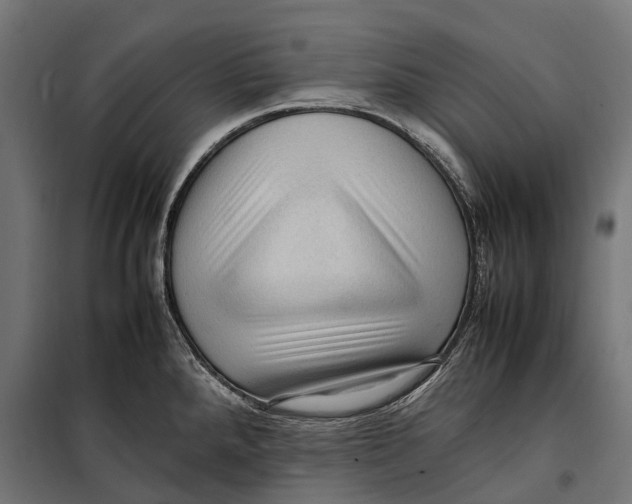 X0000099981288200806201417