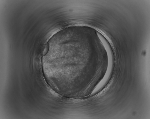 X0000099981289200806201417