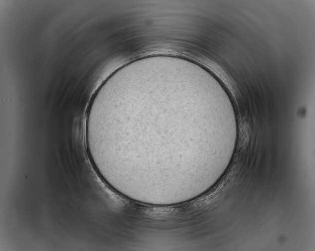 X0000099981290200806201417