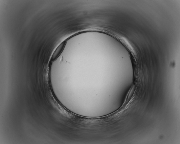 X0000099981292200806201417