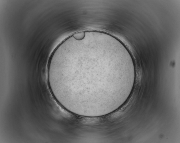 X0000099981294200806201417