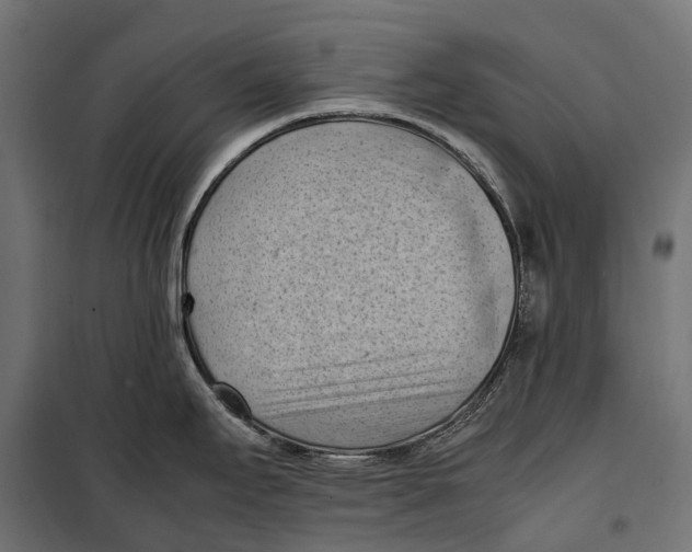 X0000099981295200806201417