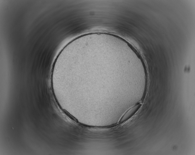 X0000099981296200806201417