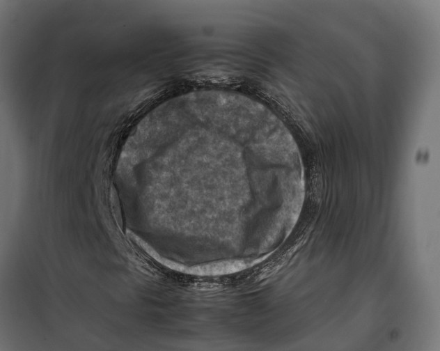 X0000099981297200806201416