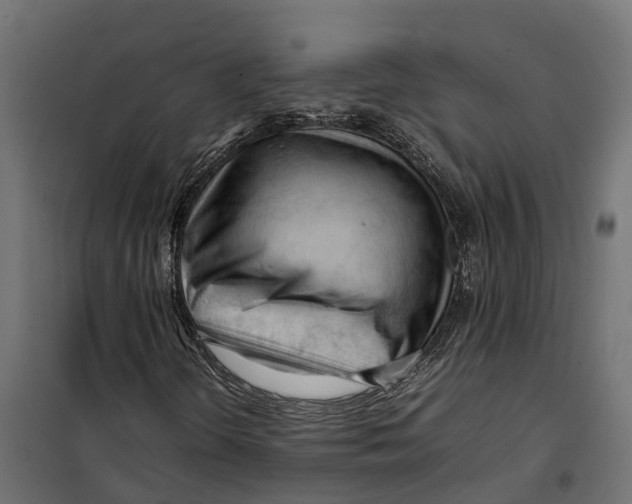 X0000099981298200806201416