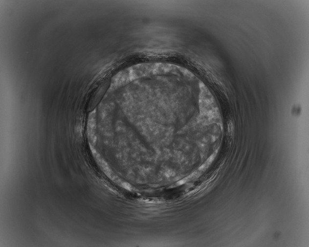 X0000099981300200806201416