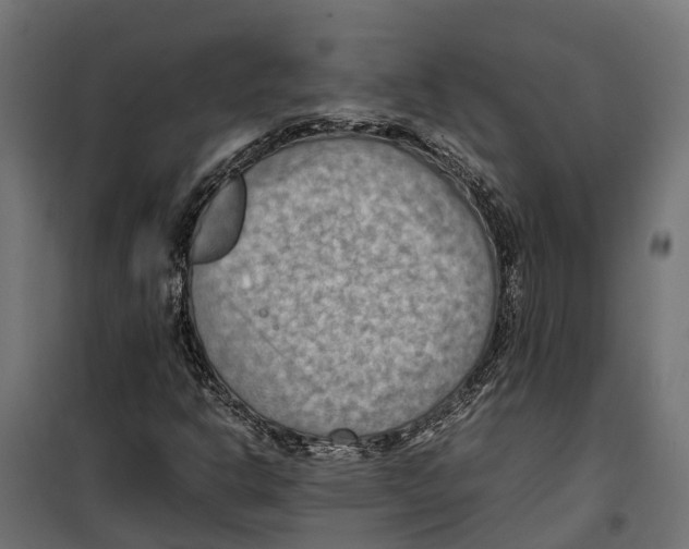 X0000099981302200806201416