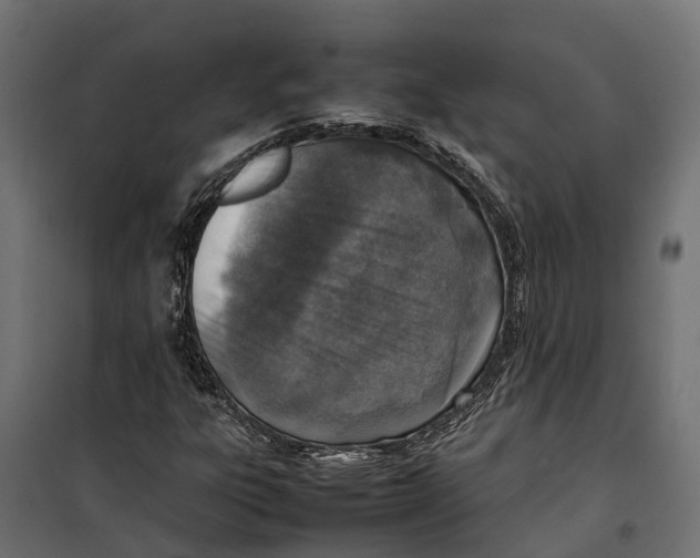 X0000099981303200806201416