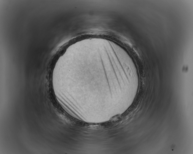 X0000099981304200806201416