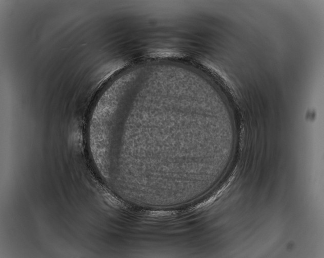 X0000099981305200806201416