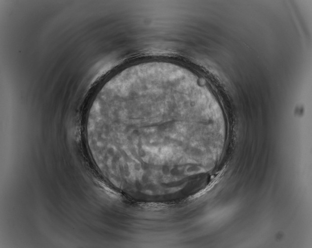 X0000099981306200806201416