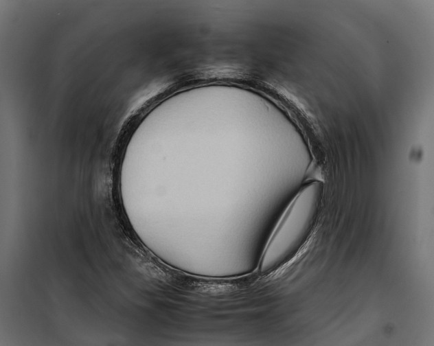 X0000099981309200806201416