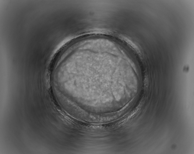 X0000099981310200806201416